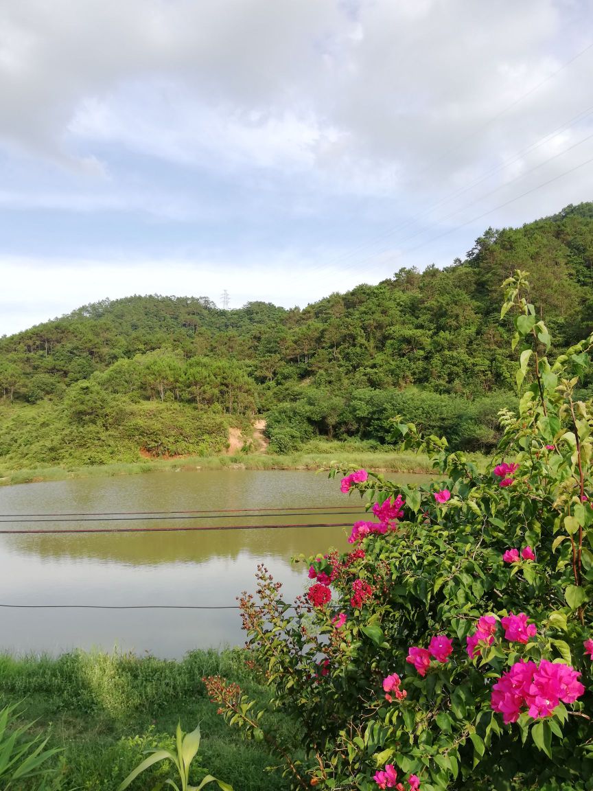 文山庄钓鱼场
