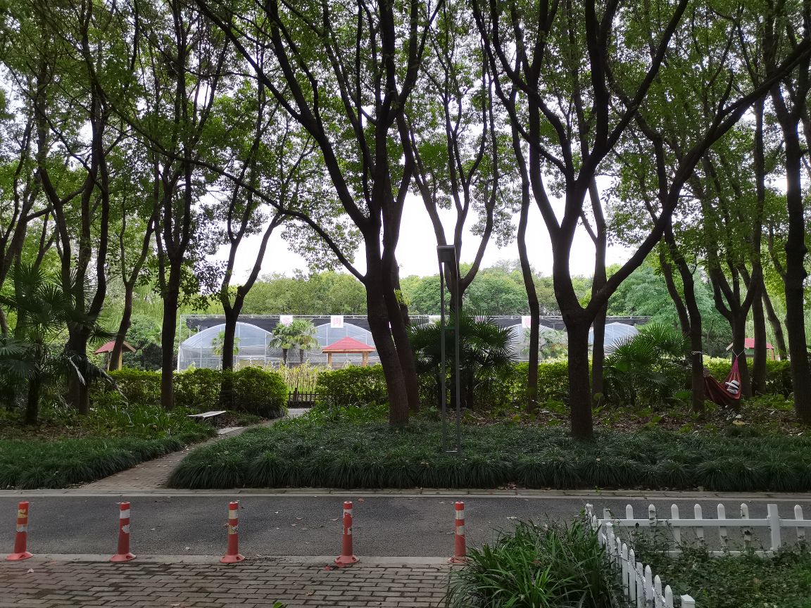 多肉植物科普园