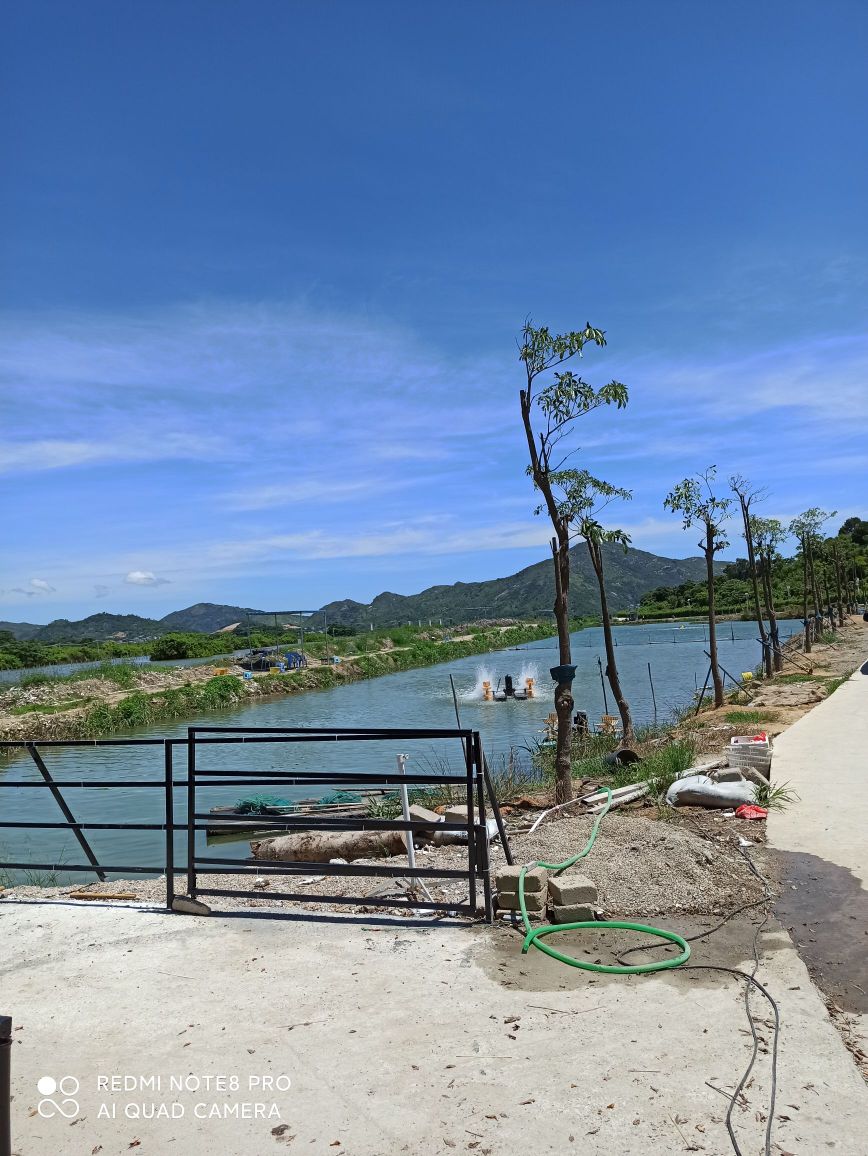 广东省汕尾市城区红草镇辰洲村东畔大山脚