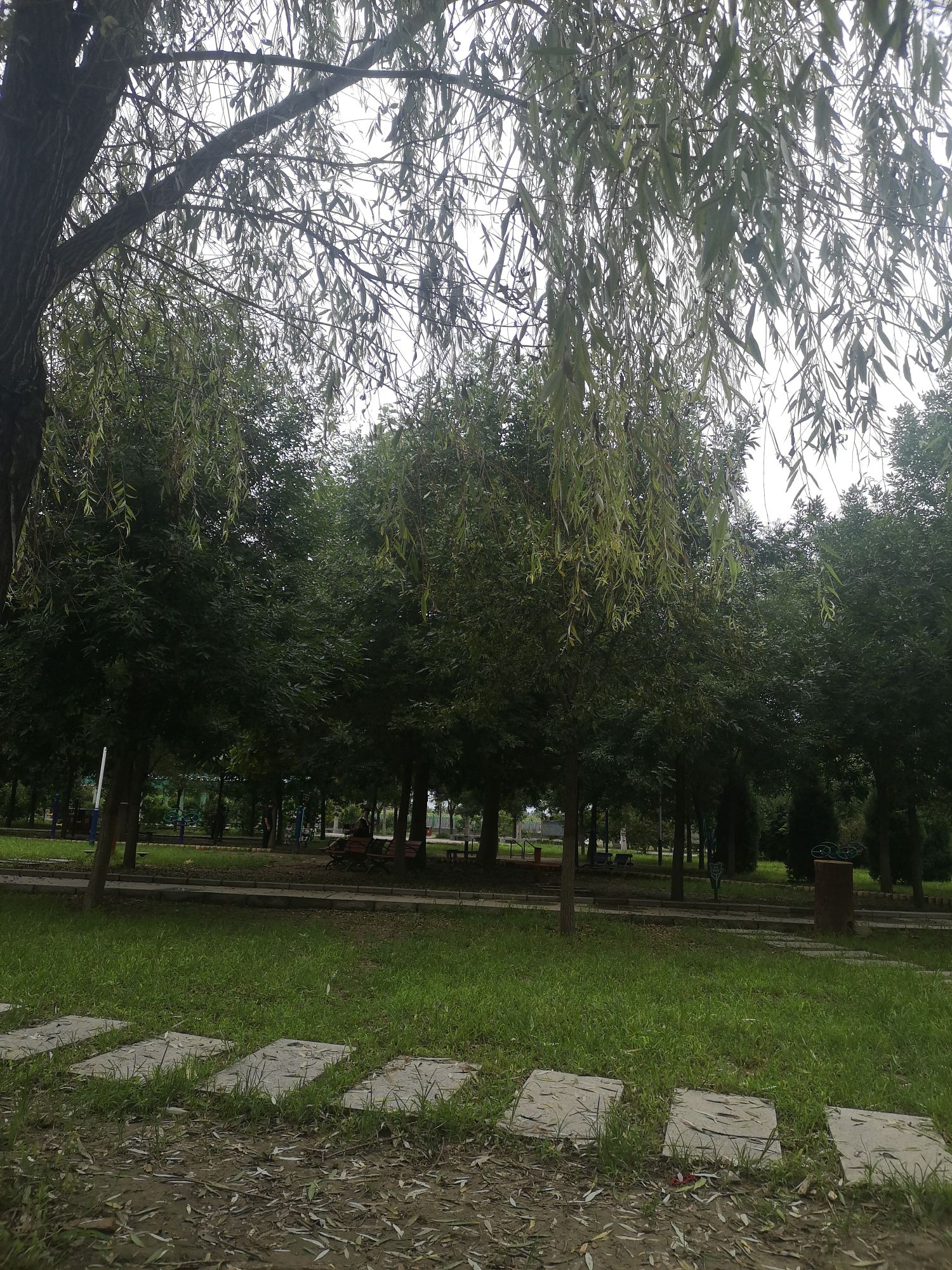 孙禄堂公园