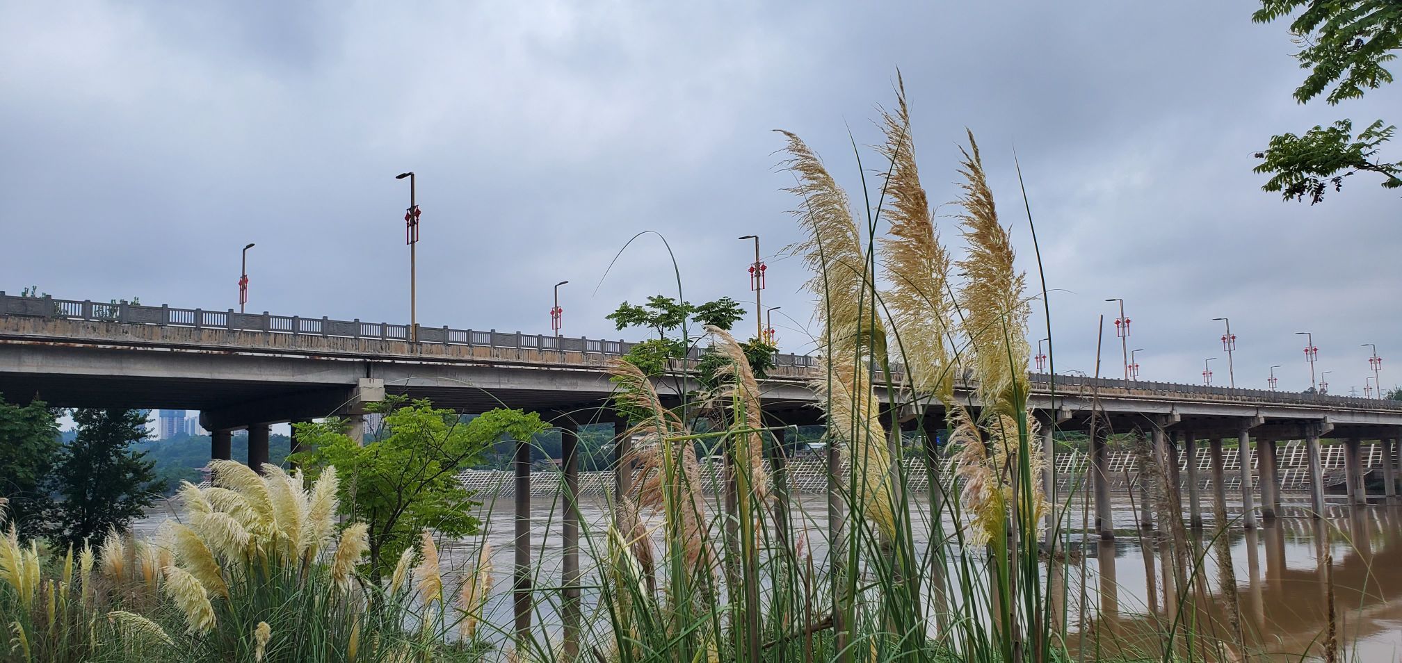 花萼湿地公元