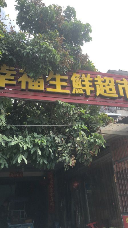 幸福生鲜超市