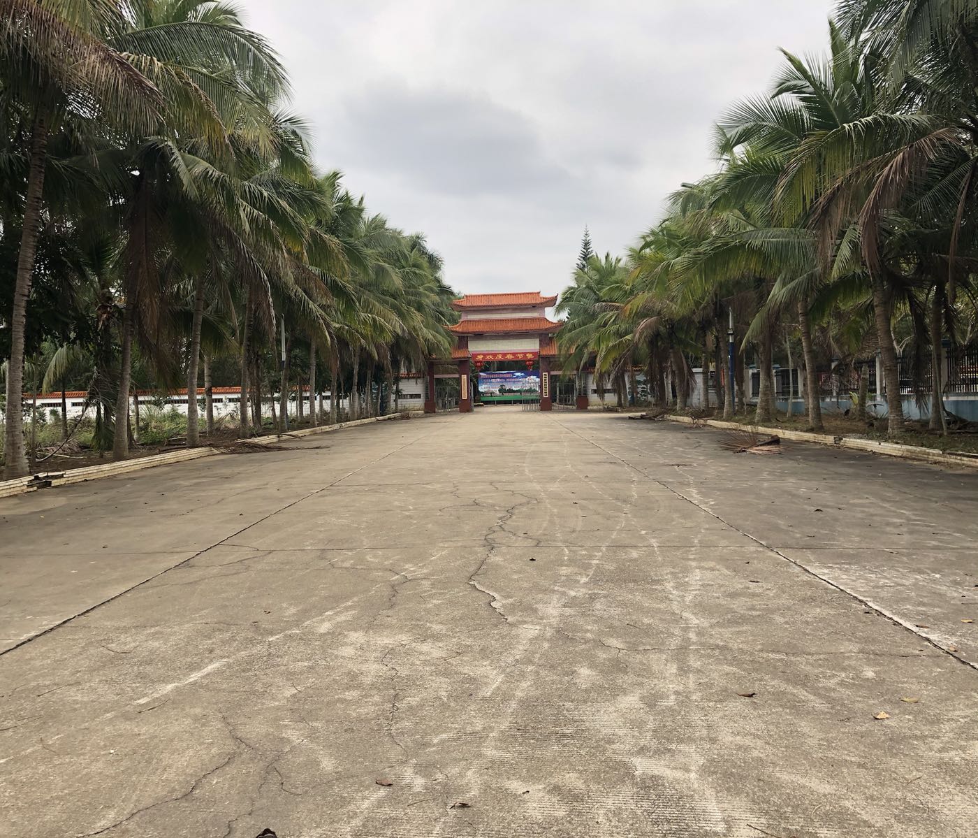 海南省国营澄迈林场