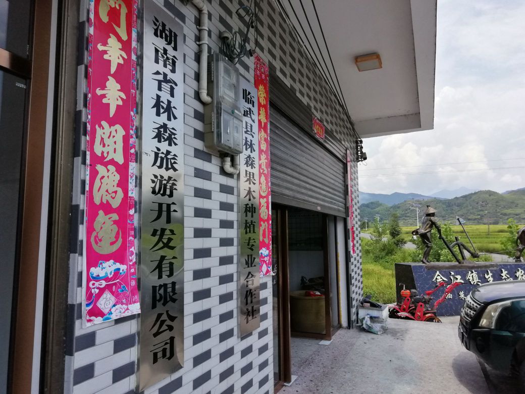 湖南省林森旅游开发有限公司
