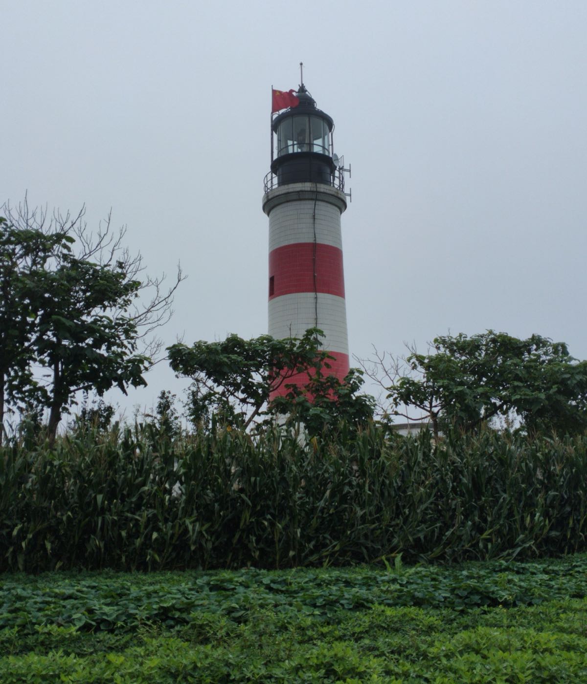 荣成市标签: 旅游景点 名胜古迹  镆铘岛灯塔共多少人浏览:3713075