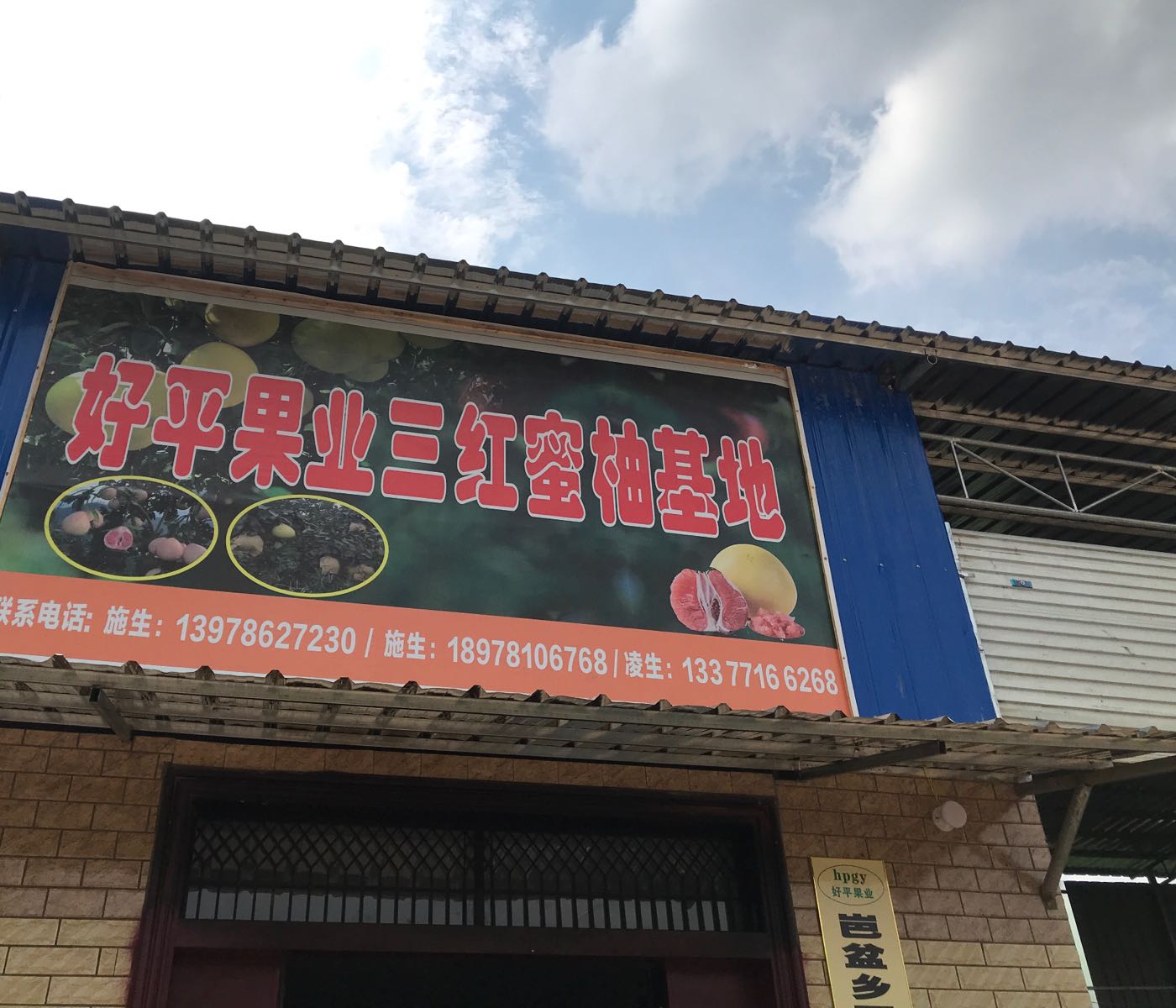 好平果业三红蜜柚基地