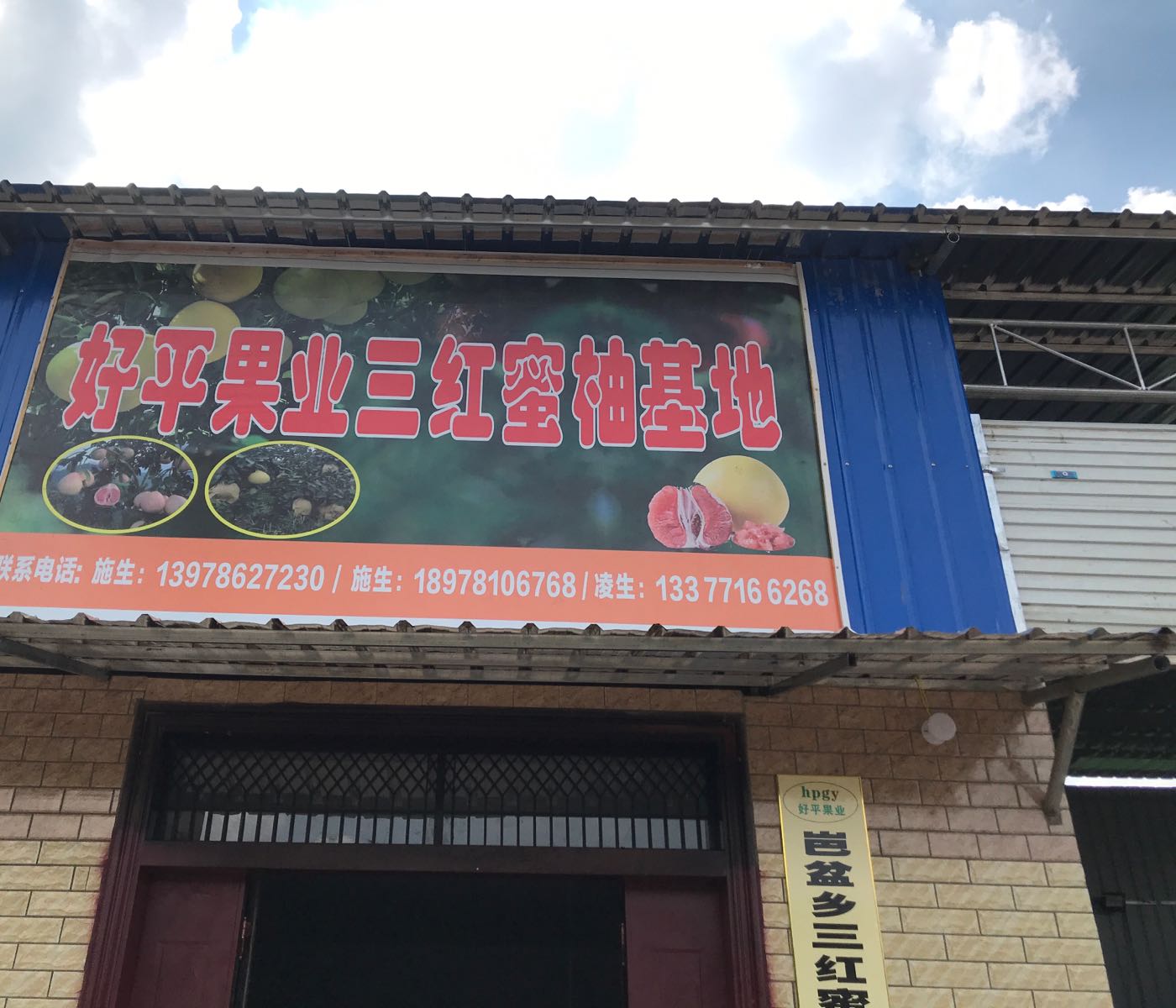 好平果业三红蜜柚基地