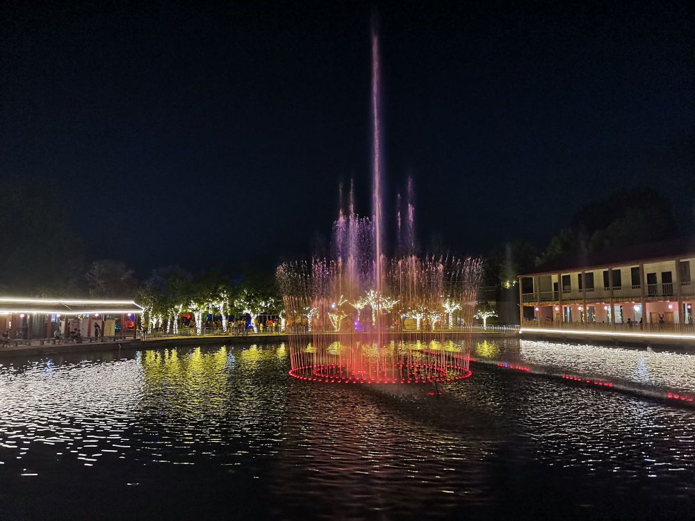 绿色植物观赏园