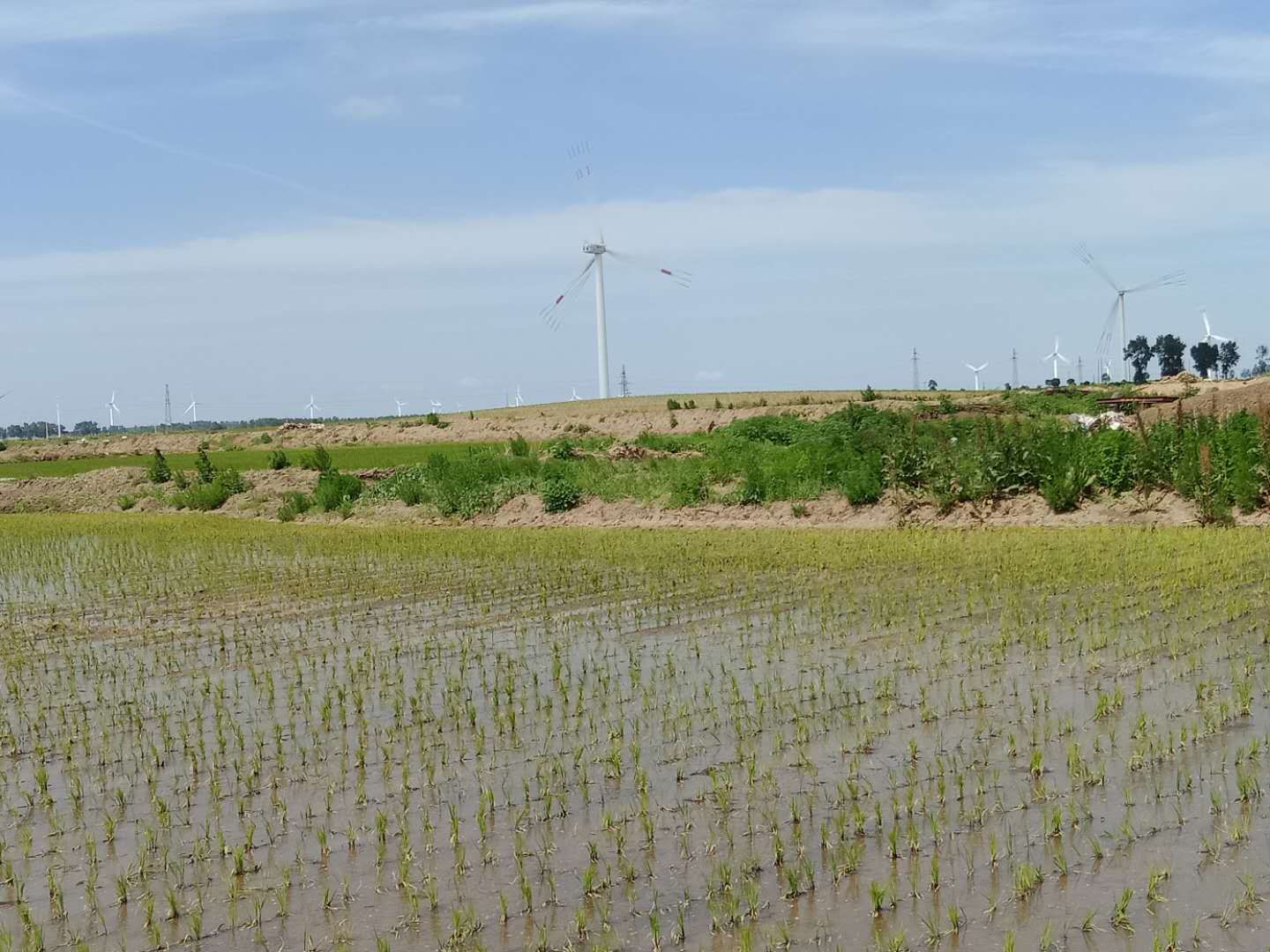 佳木斯市桦川县