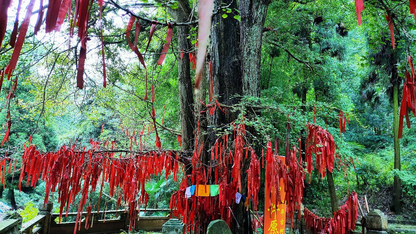 龙居寺