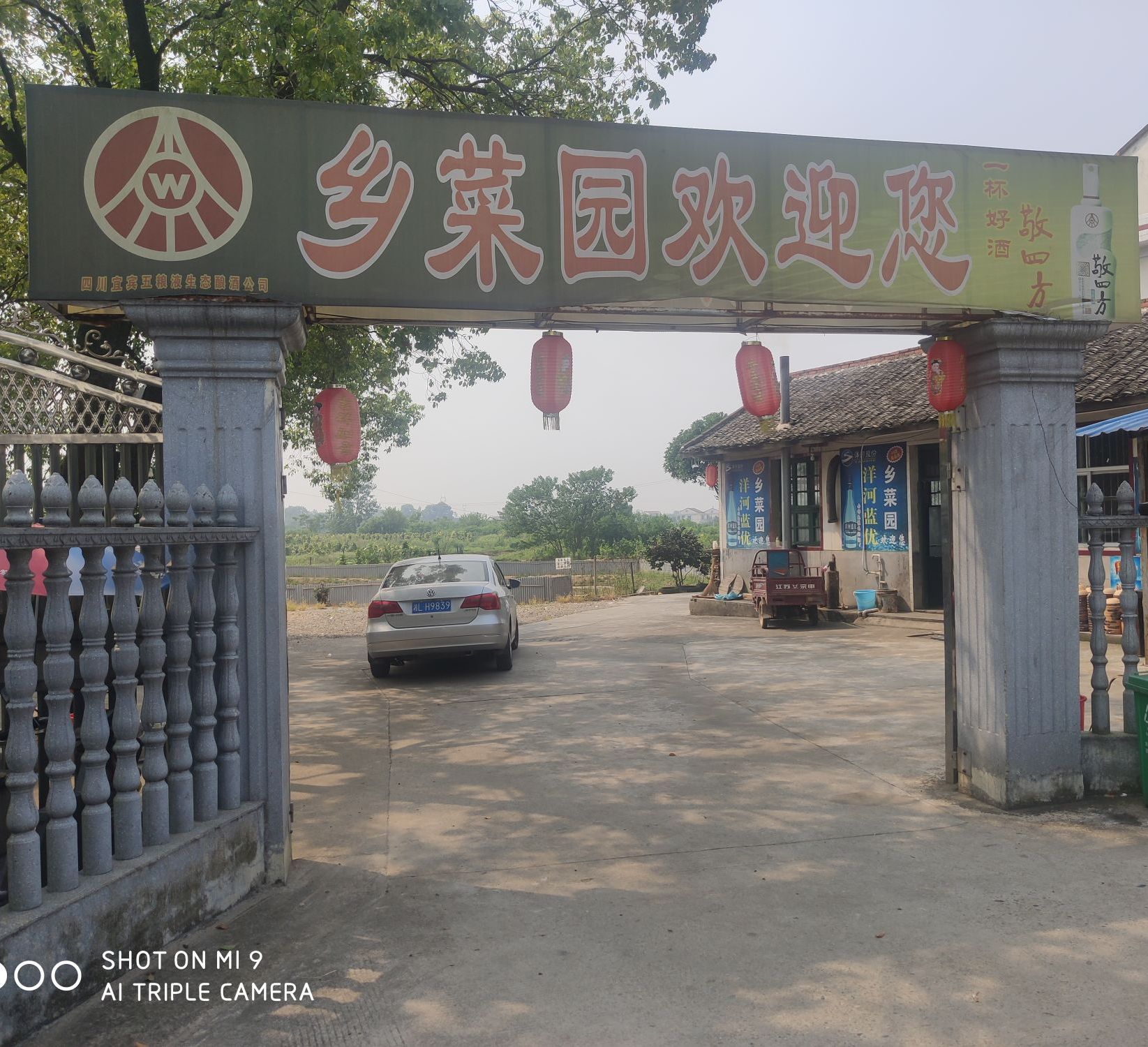 乡菜园