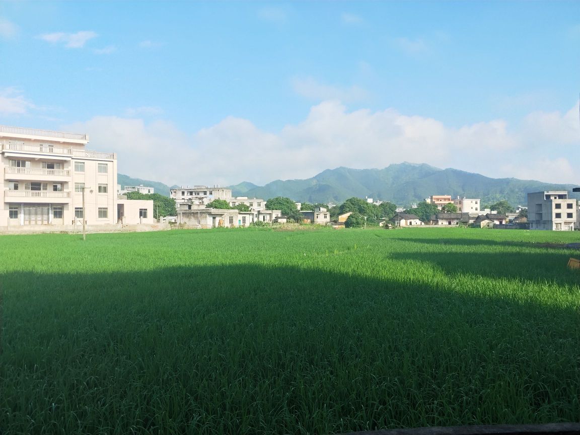 广西壮族自治区梧州市岑溪市义垌小学东面