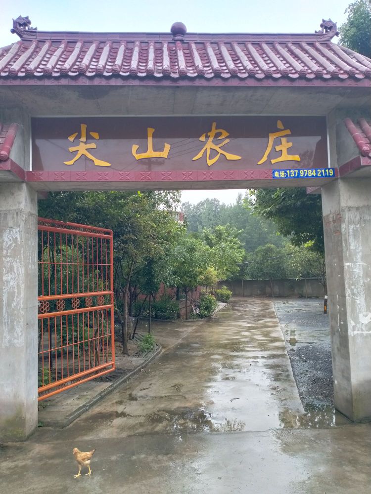 湖北省十堰市丹江口市三官殿办事处化鸡沟村1组