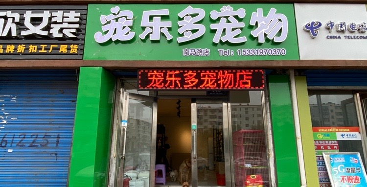 宠乐多宠物(南马路店)