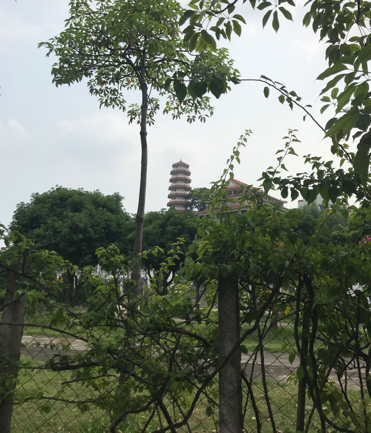 白鹤仙观