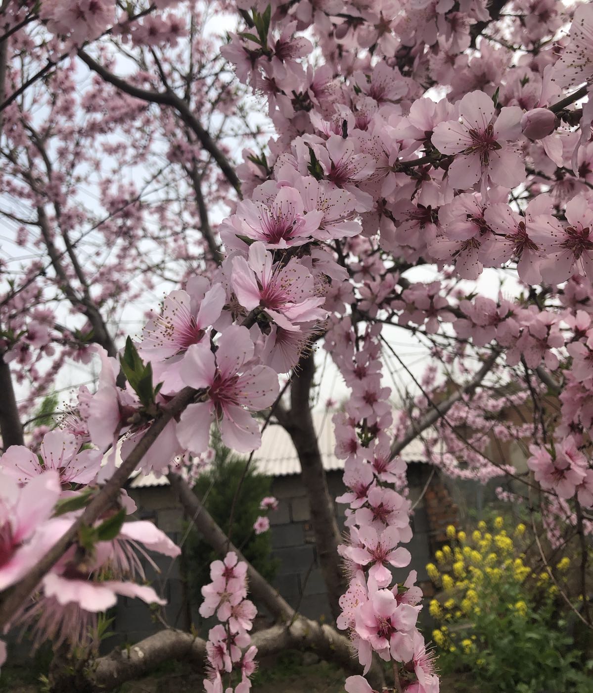 宿迁市沭阳县湖潼线