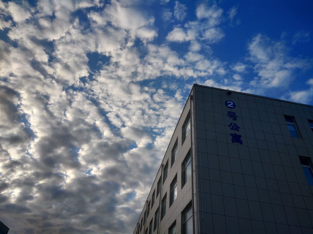 地址(位置,怎么去,怎么走):  盘锦市大洼区宝来集团盘锦北方沥青燃料