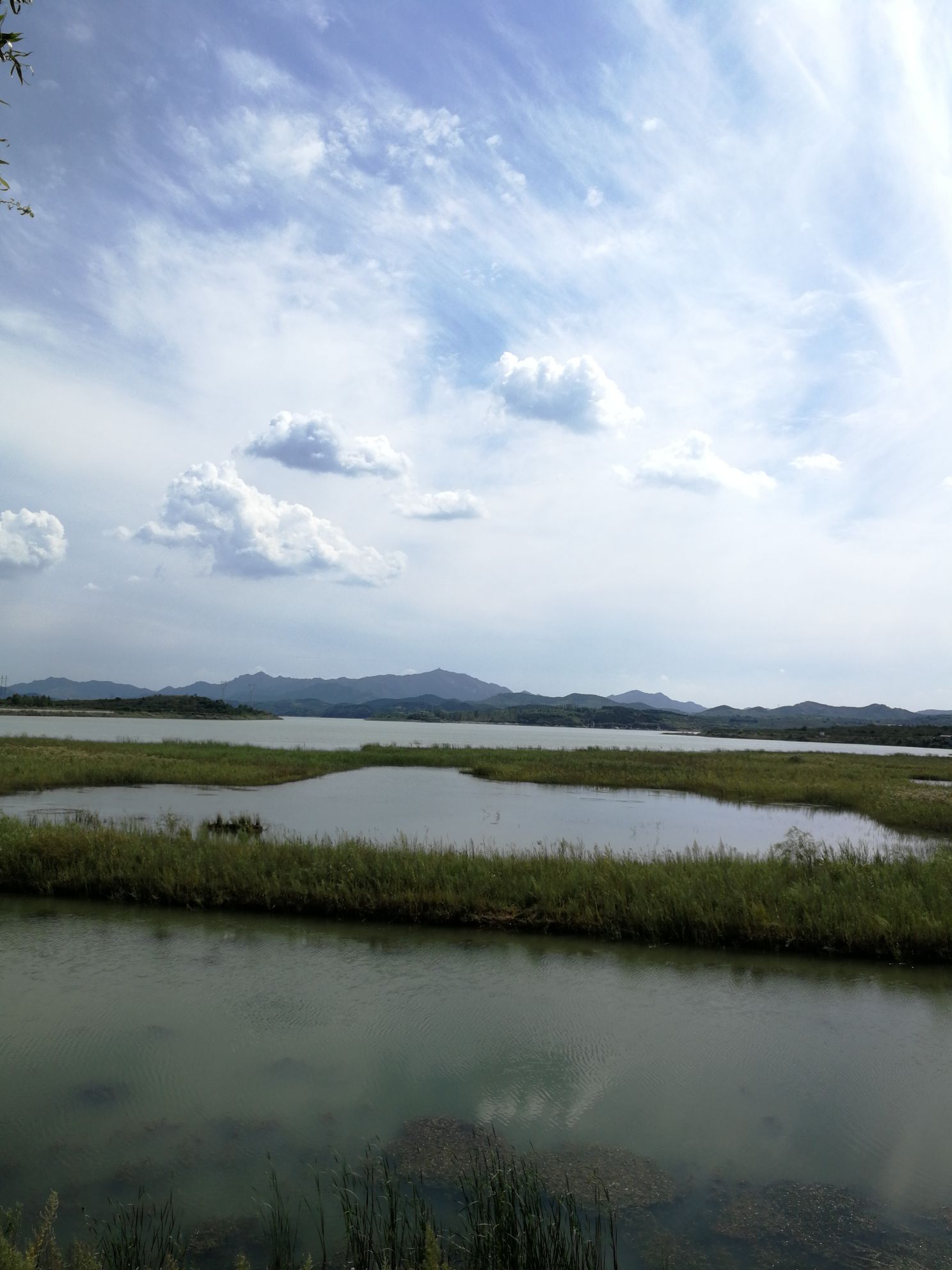 烟台市福山区