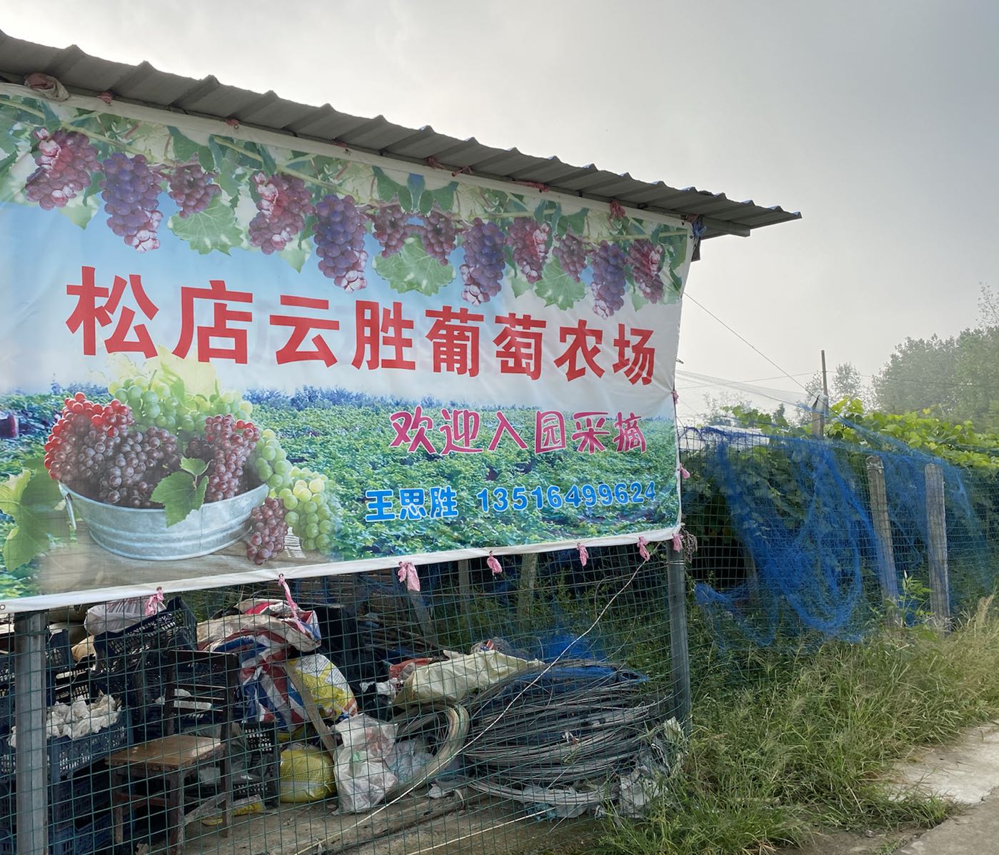 安徽省六安市金安区先生店乡松店村