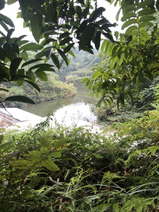 广东省梅州市丰顺县汤坑镇新铜村瀑声小学旁直进200米