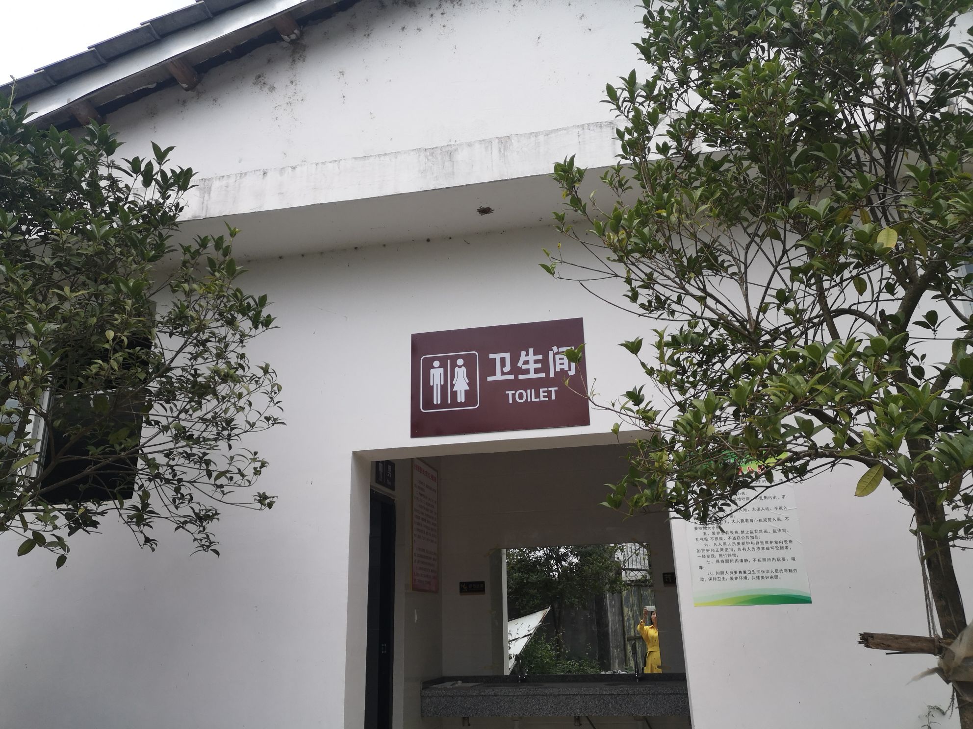 陕西省汉中市西乡县沙河镇星火村