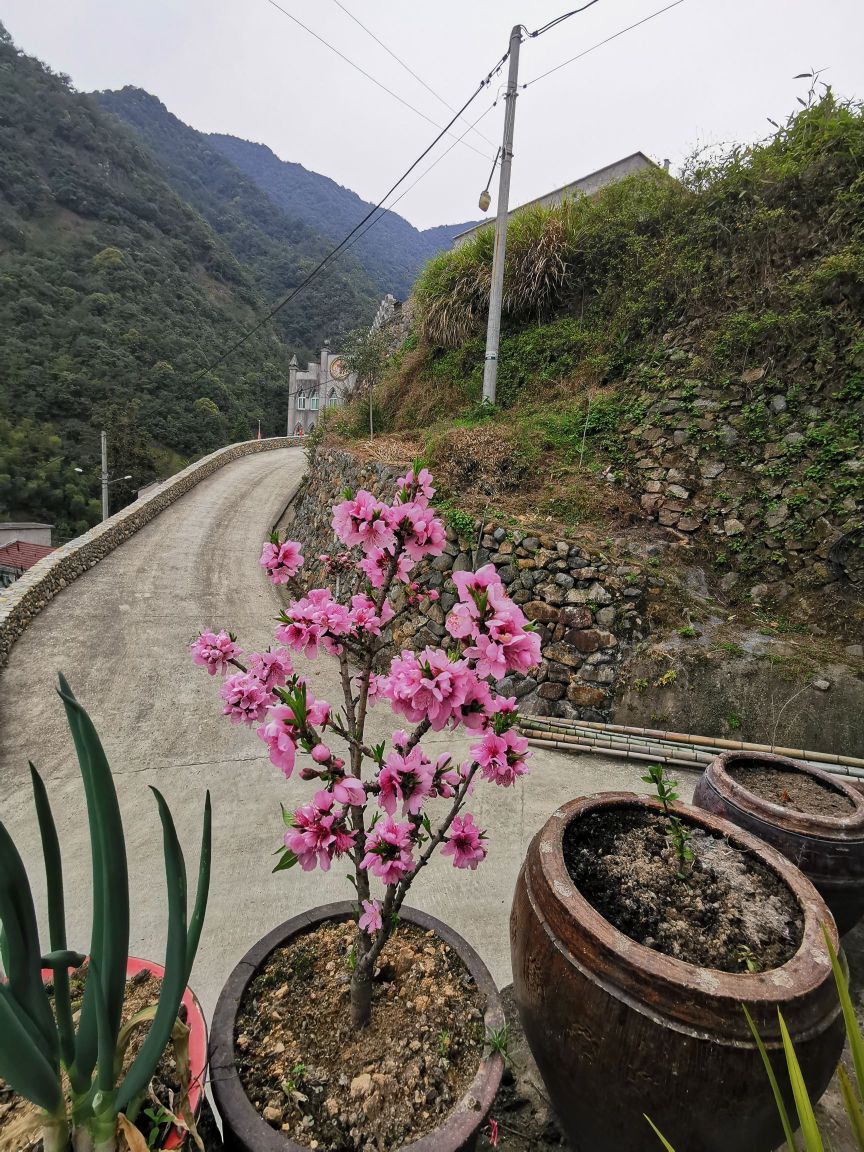 丽水市青田县