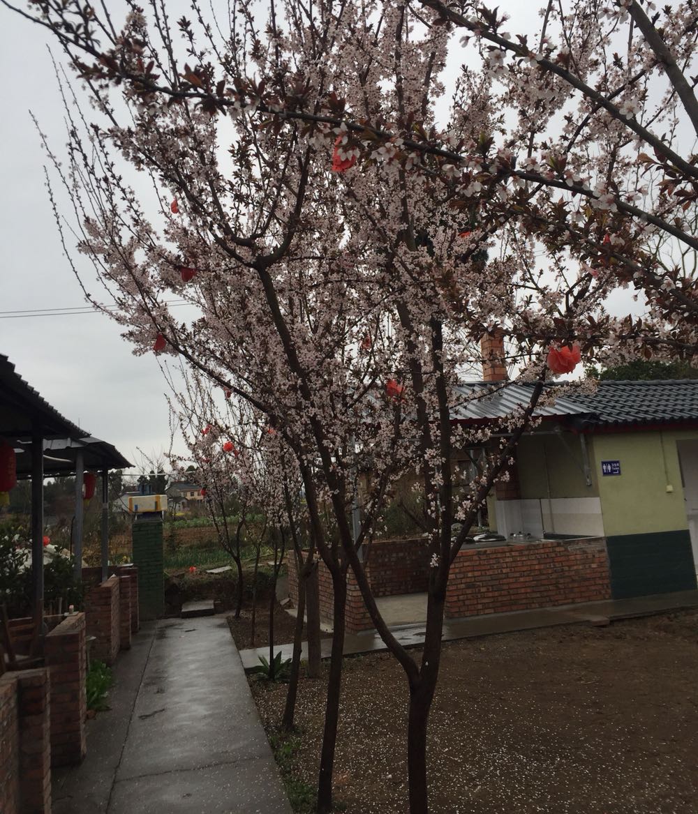广纳休闲庄