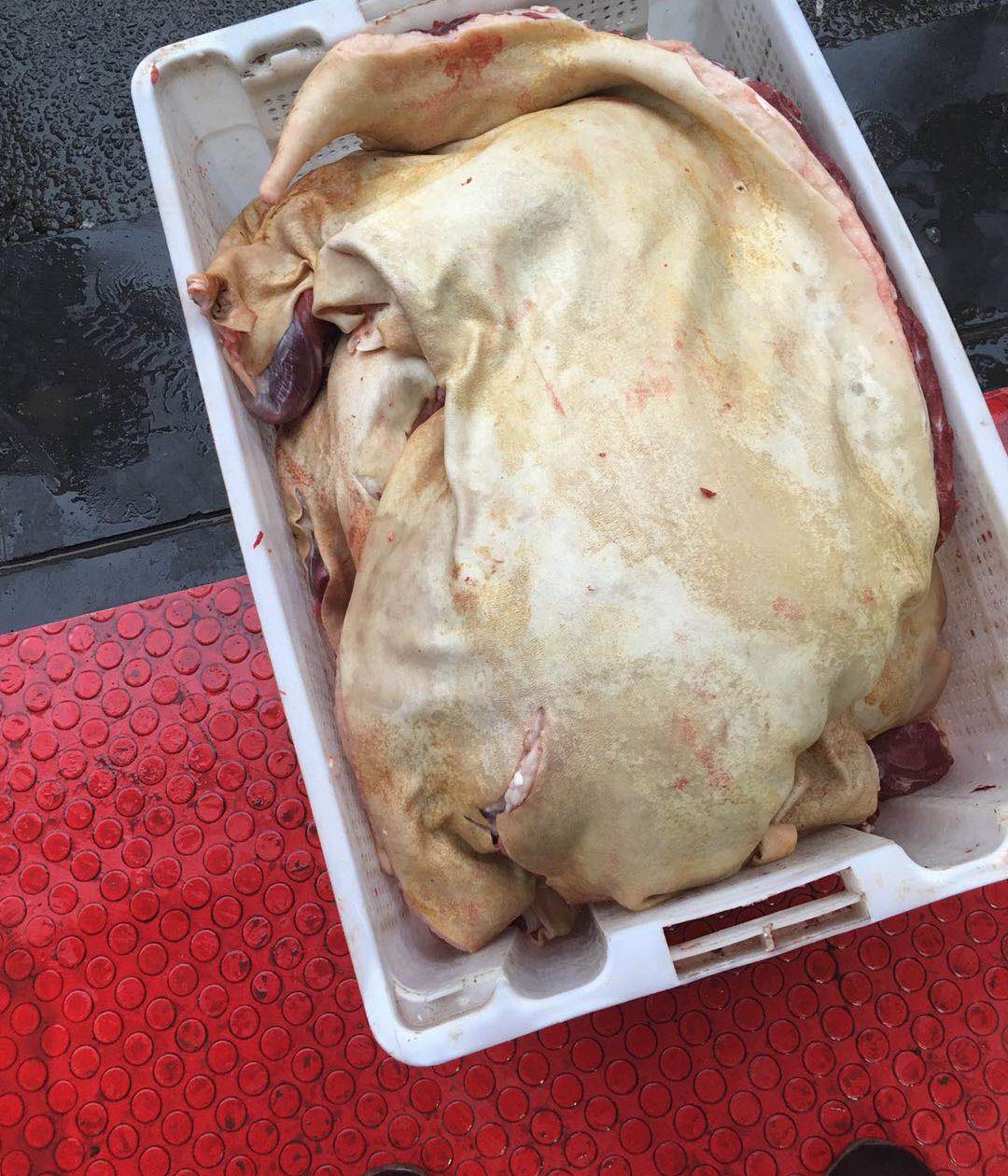 虾子十字街李记羊肉粉(代河沟店)