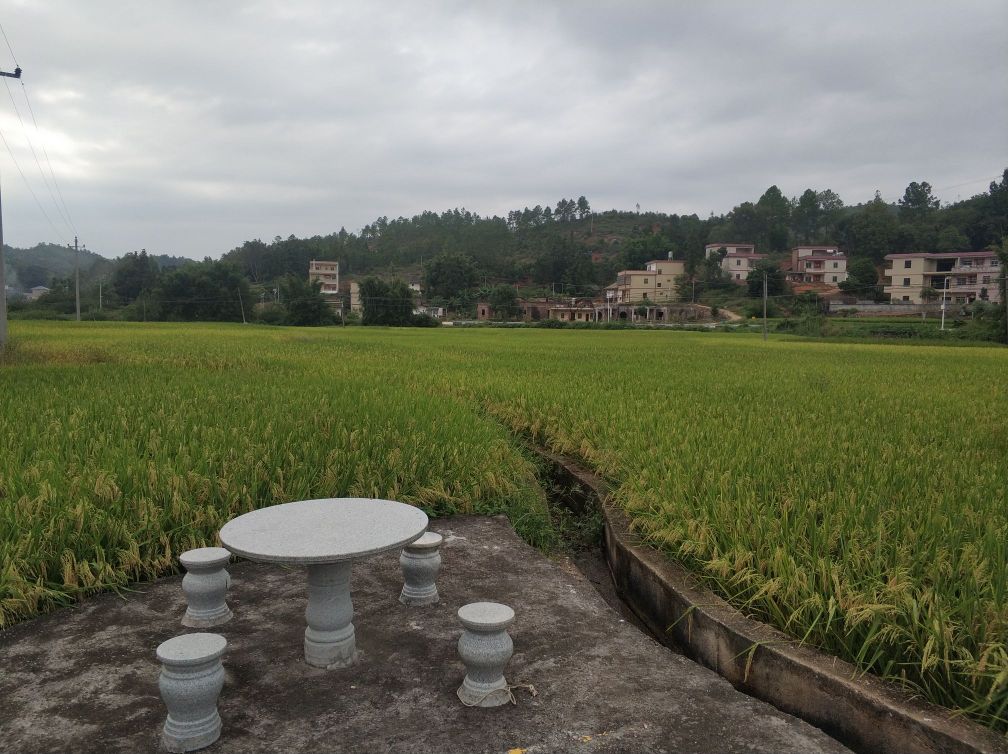 龙川县苏维埃政府纪念馆