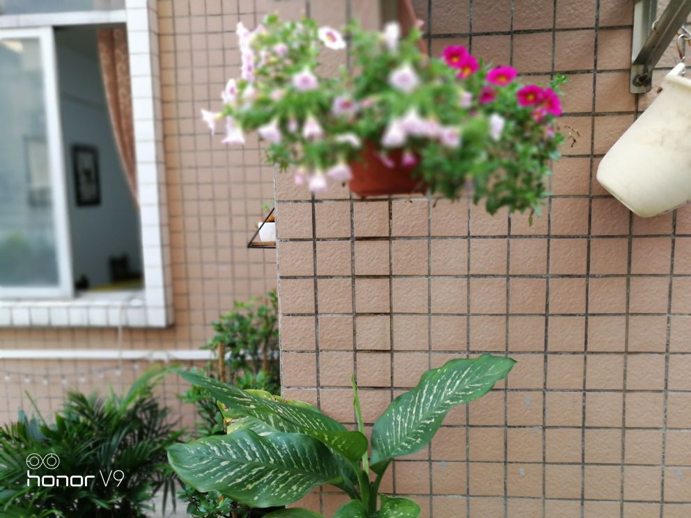 六楼海鲜馆