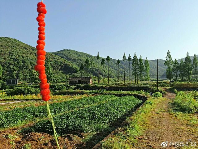 宁波市宁海县