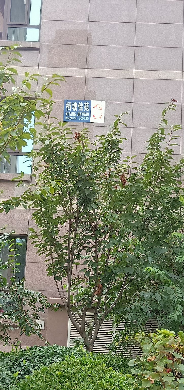 天津市河西区陈塘庄天房美棠西天房·栖塘佳苑3号楼(怒江道南)