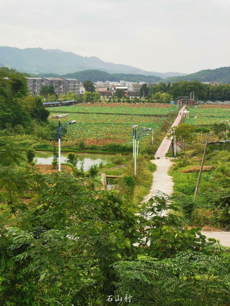 衡阳市常宁市