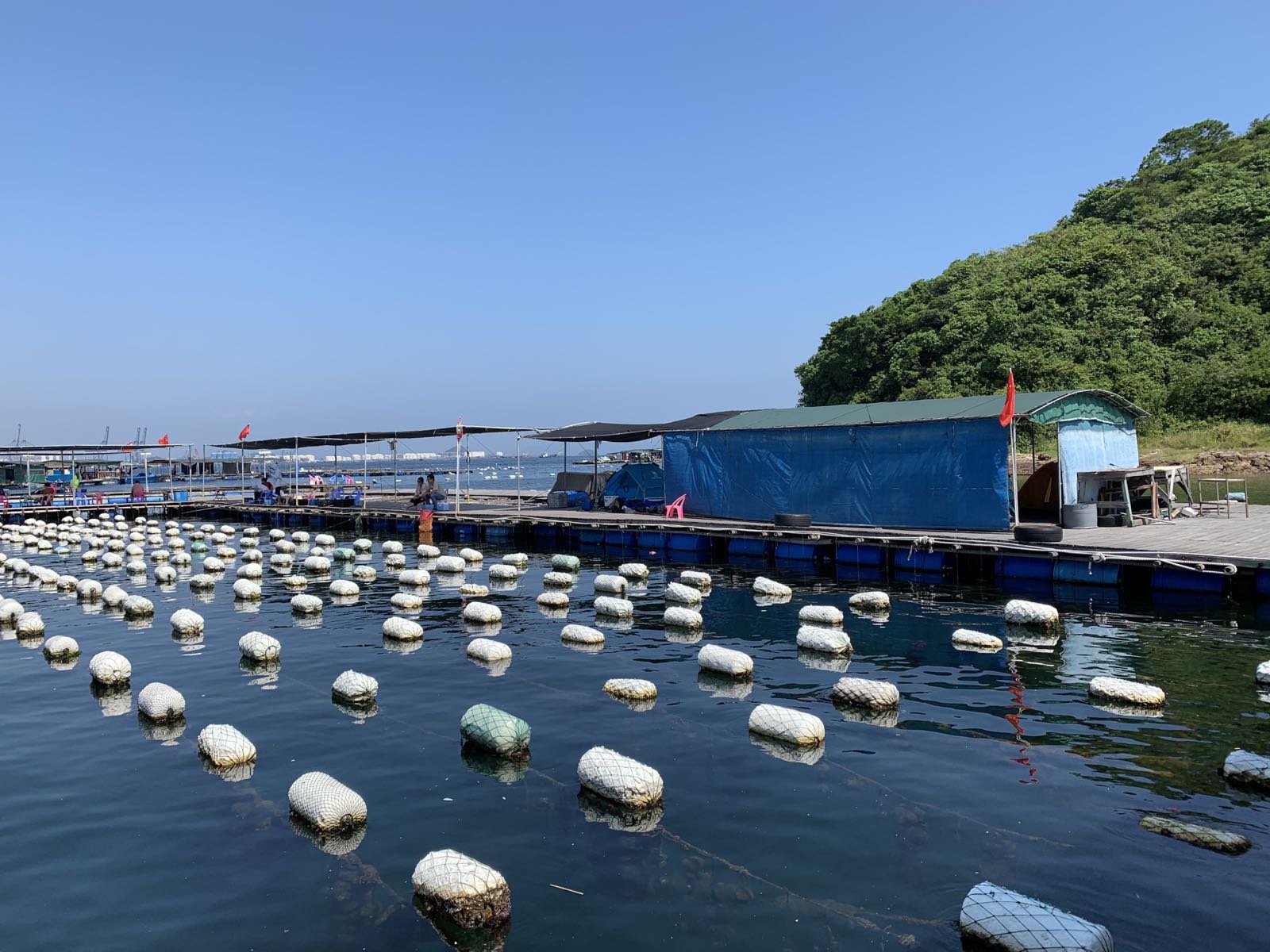 小桂珍珠场渔具店