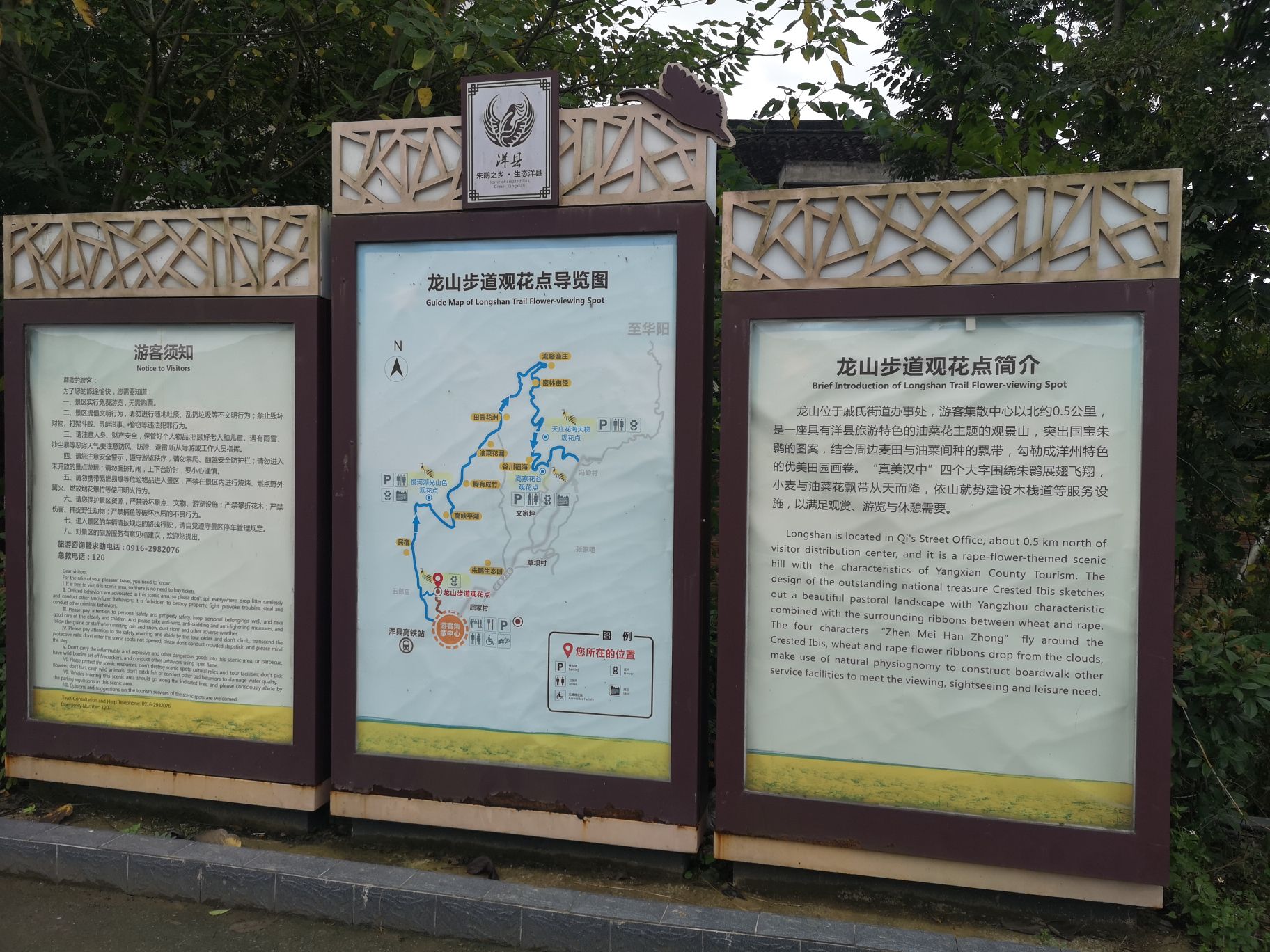 龙山观花点