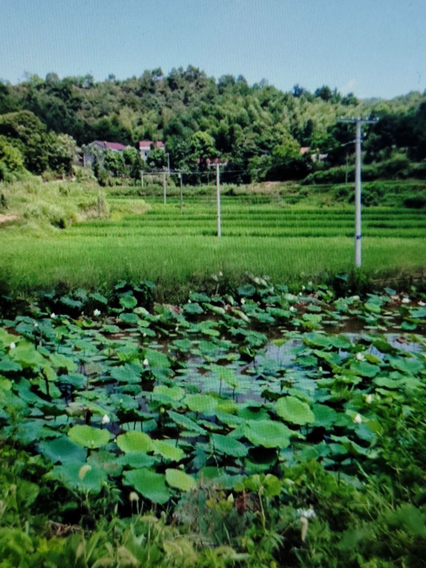 衡阳市衡山县