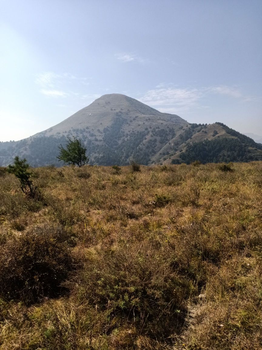 苍笼山风景区