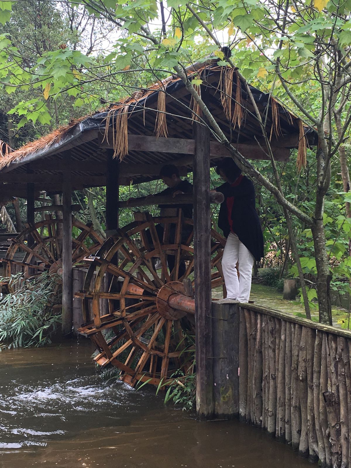 青城湾湿地庄园