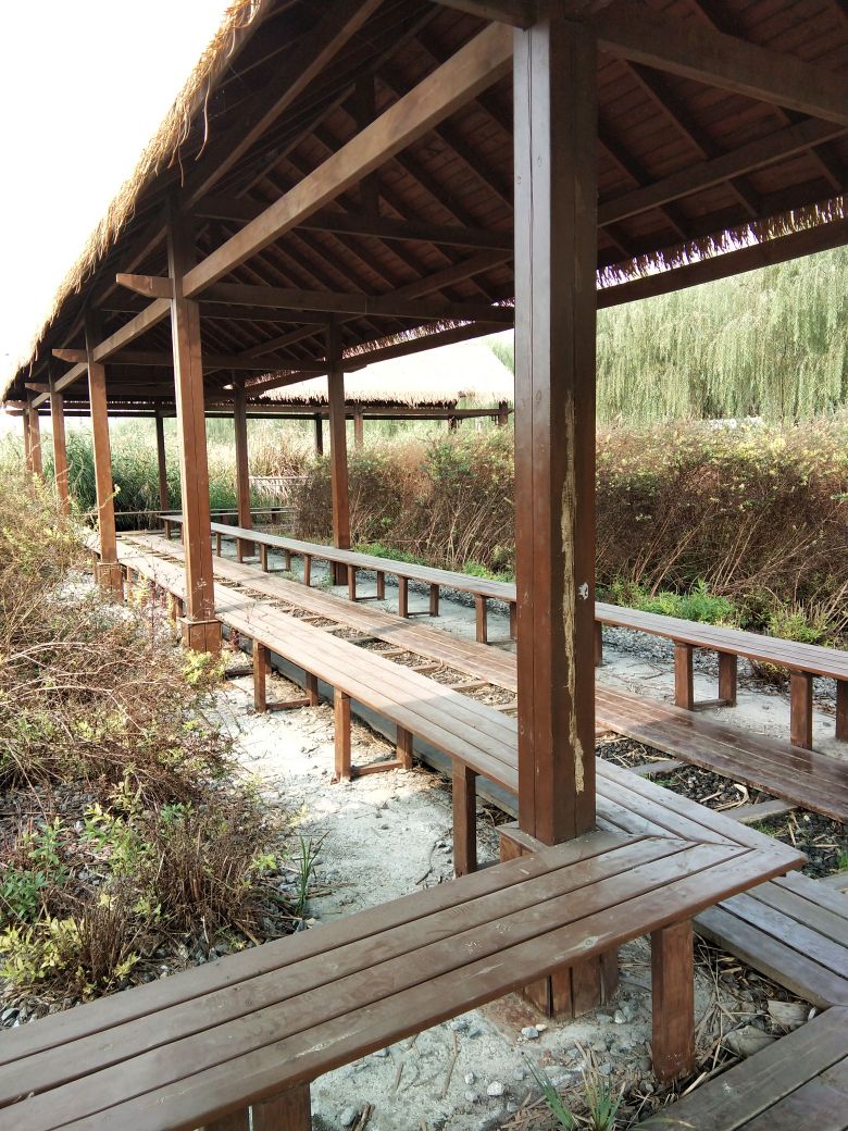 禾和湿地公园