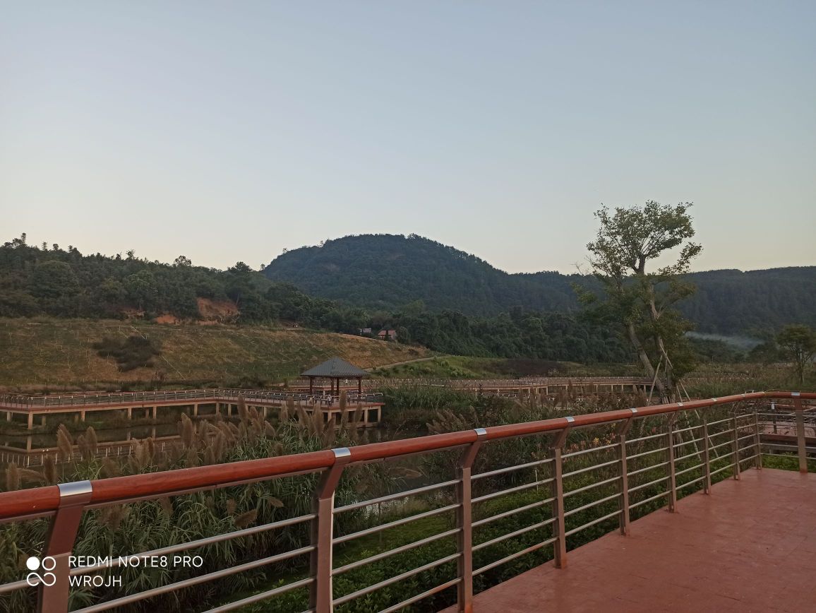 东溪水生态公园