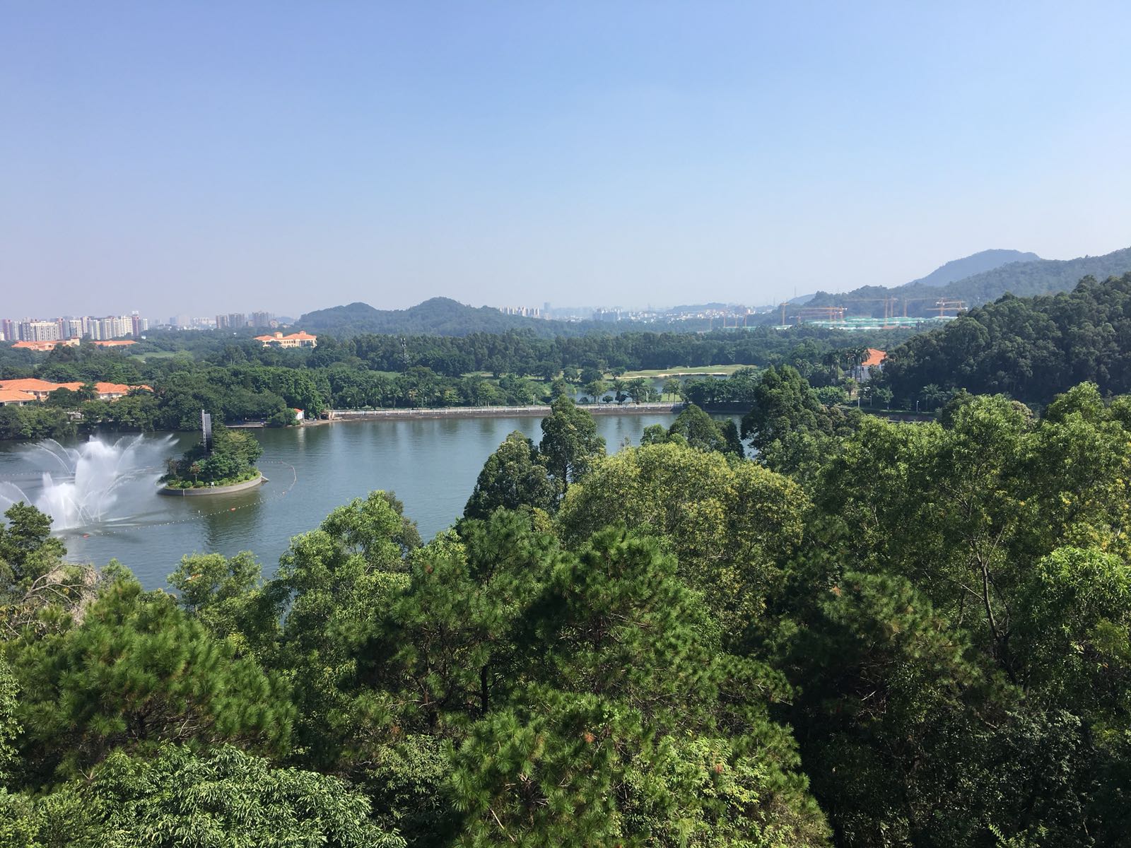 虎英植物园