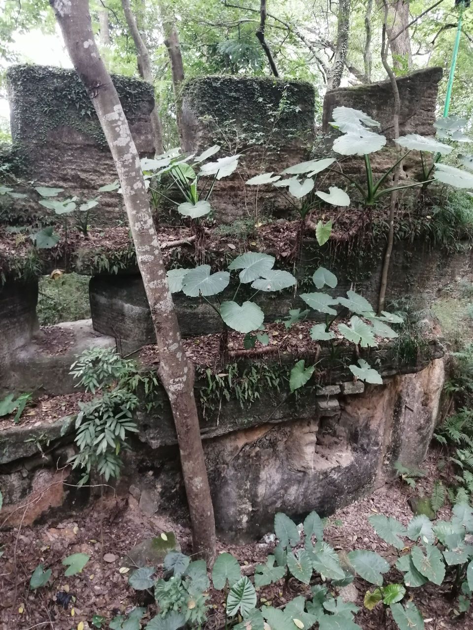 潮州西湖。-湖山腰城遗址