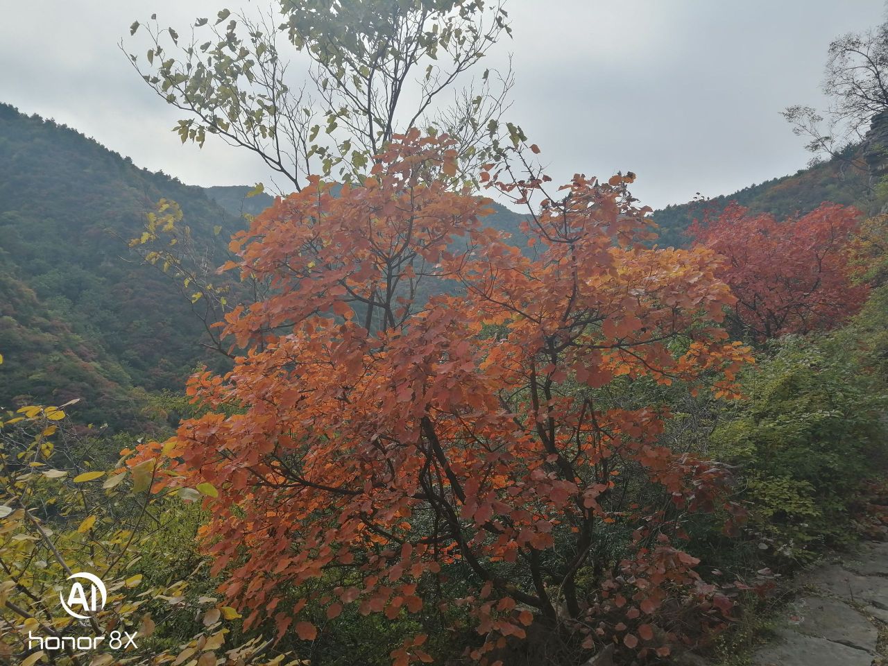 清风寺