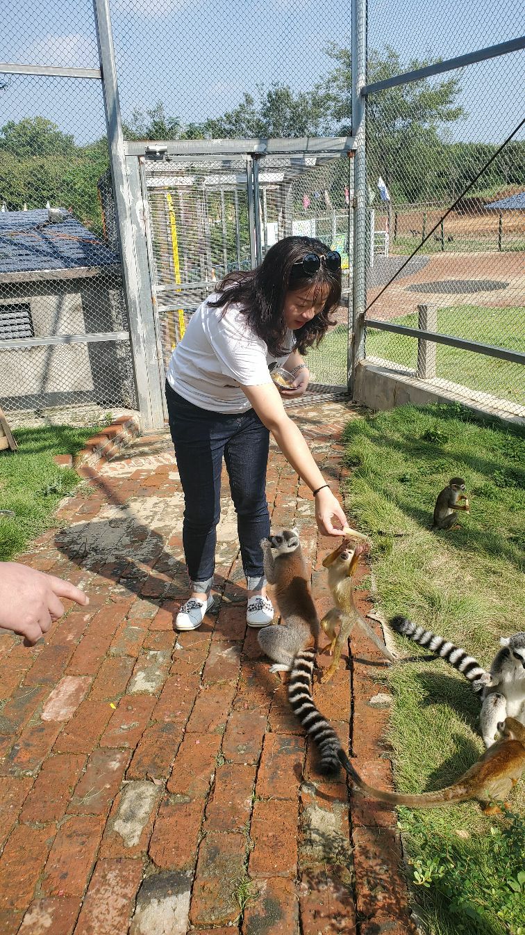 藍山灣村野動物園