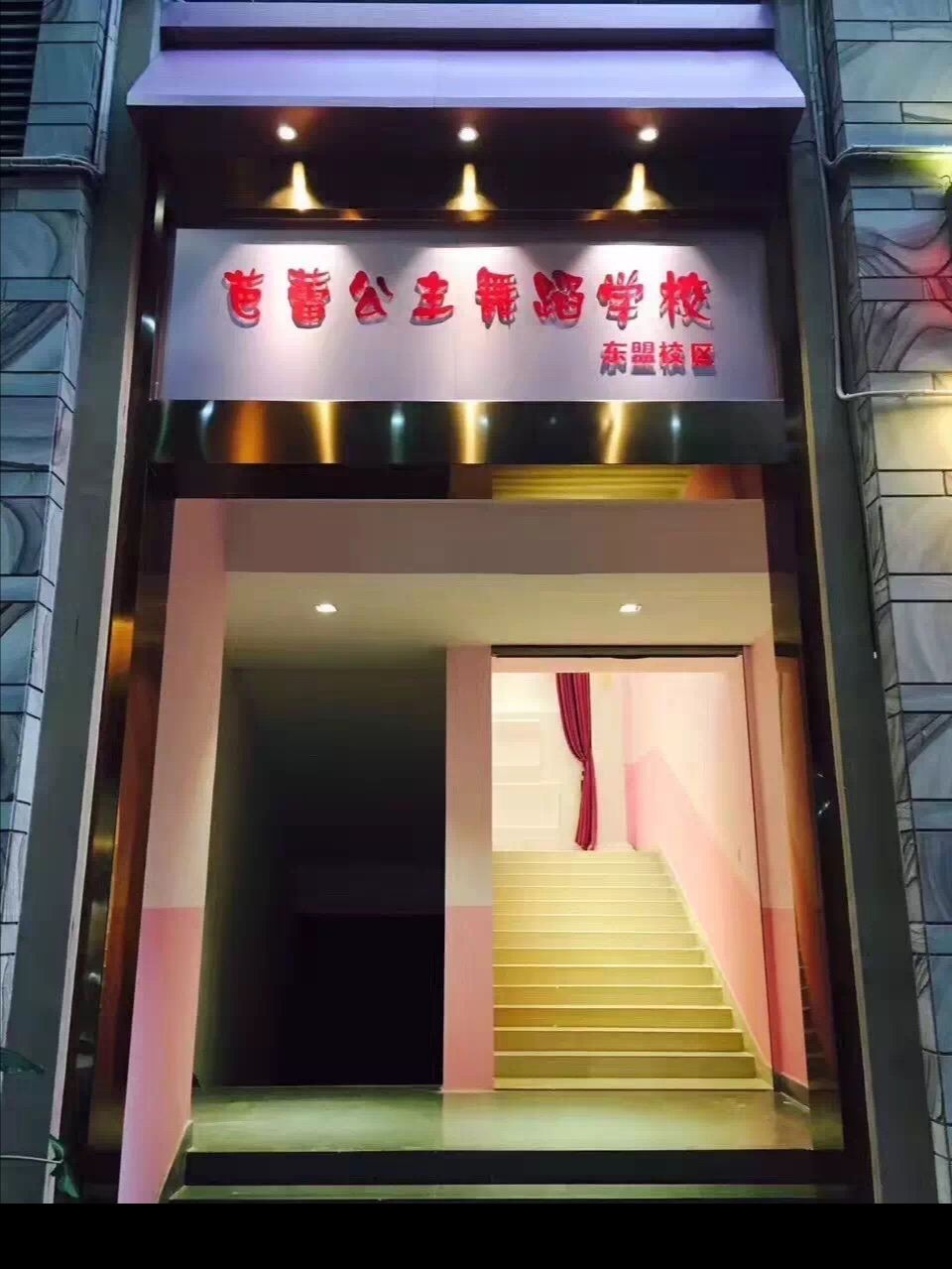 青秀区标签: 培训机构 教育培训  芭蕾公主舞蹈学校(东盟校区)共多少