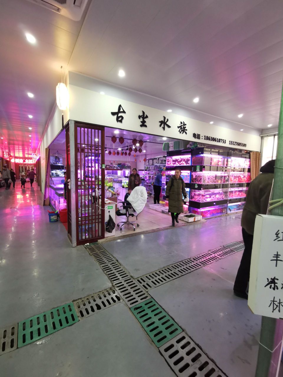 古尘水族