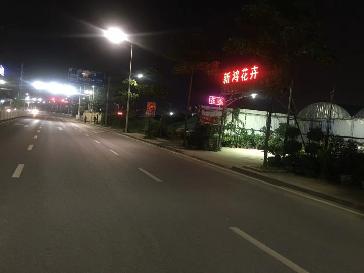 新鸿花卉