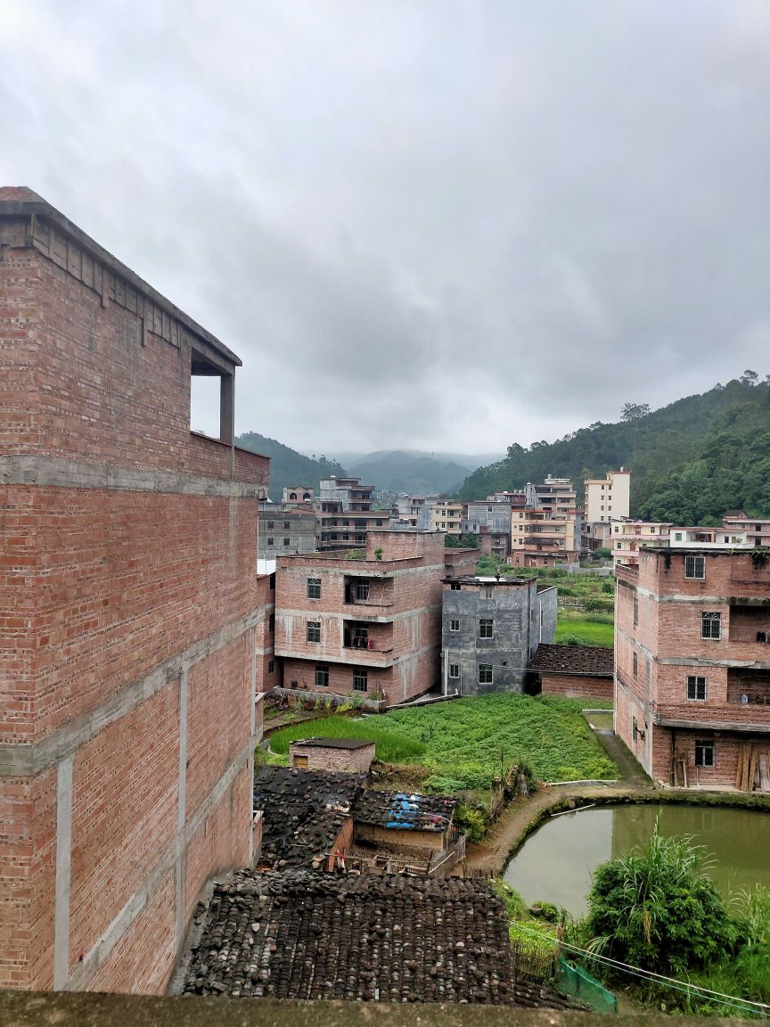 茂名市信宜市四六二县道