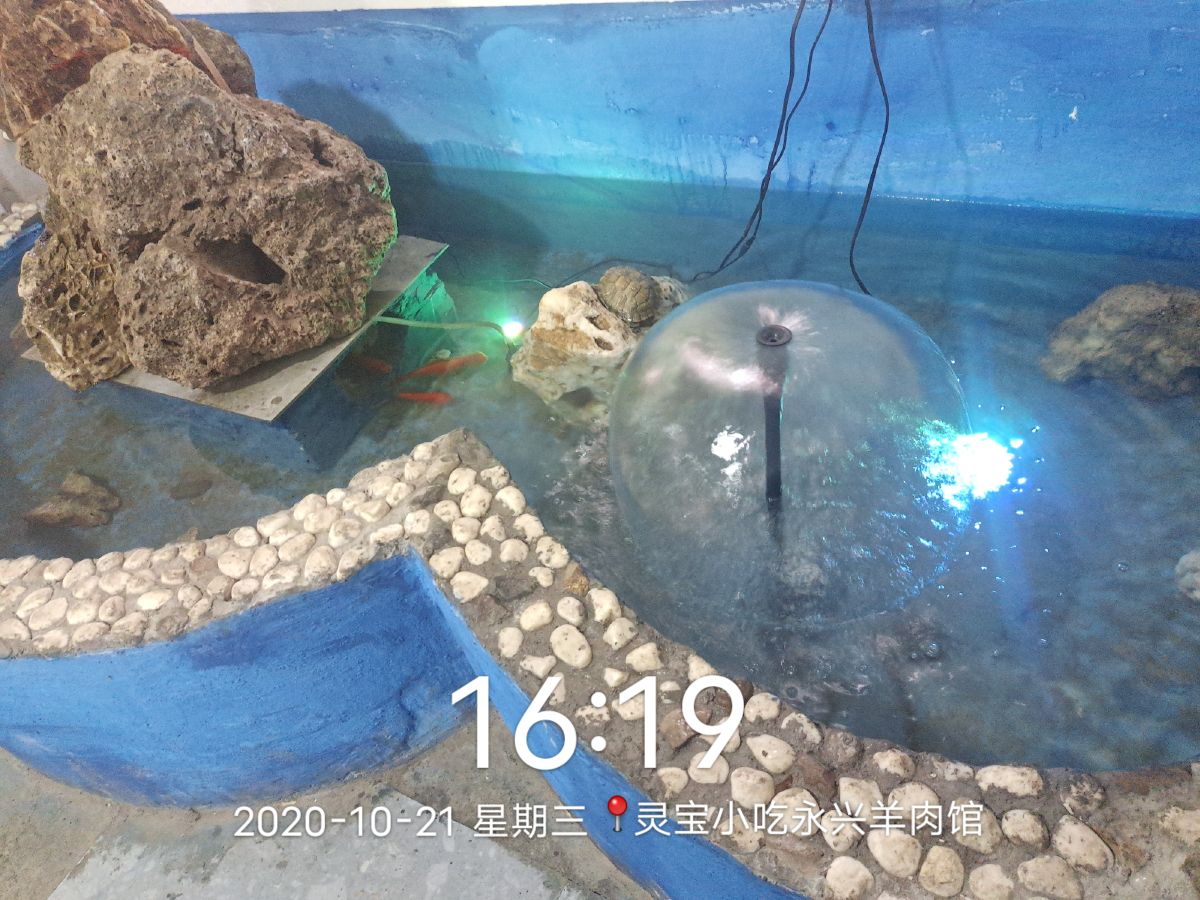 灵宝小吃永兴羊肉馆