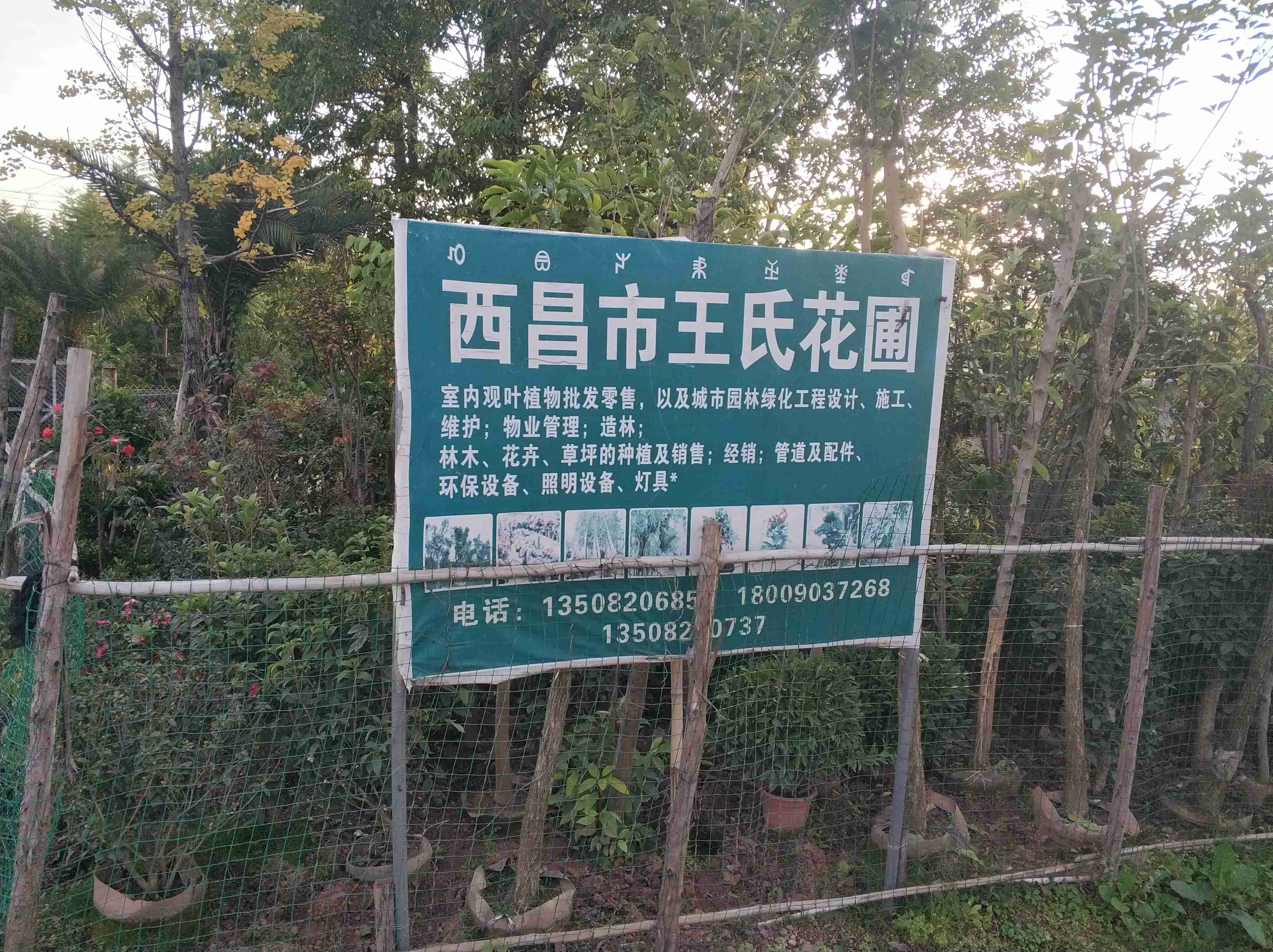 王氏花圃